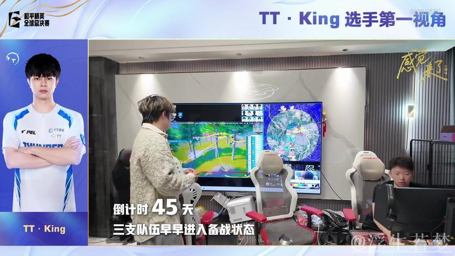2025PMGC决赛第二天：TT-King第一视角（LGD-猫猫助阵）